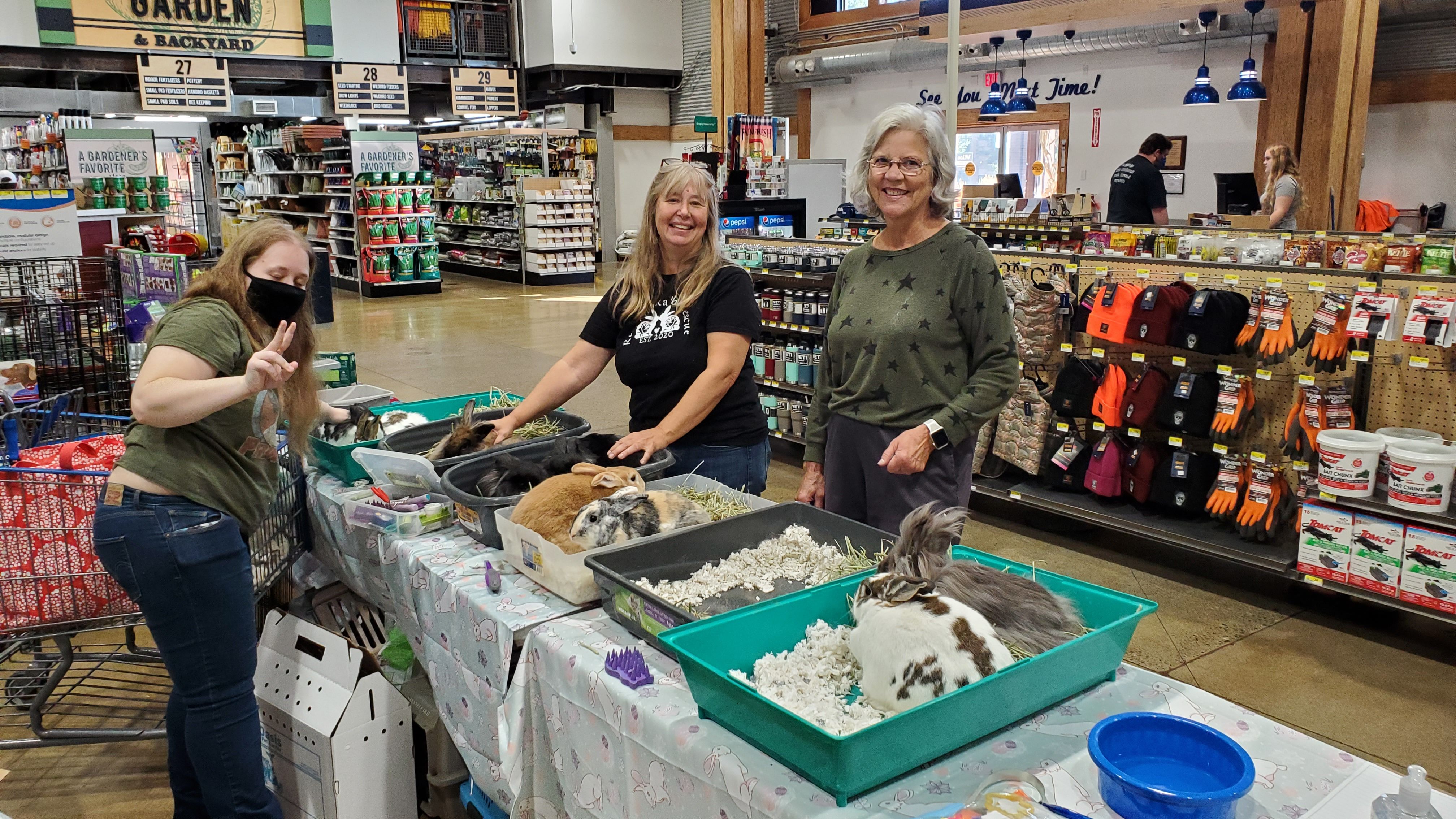 Rose City Rabbit Rescue