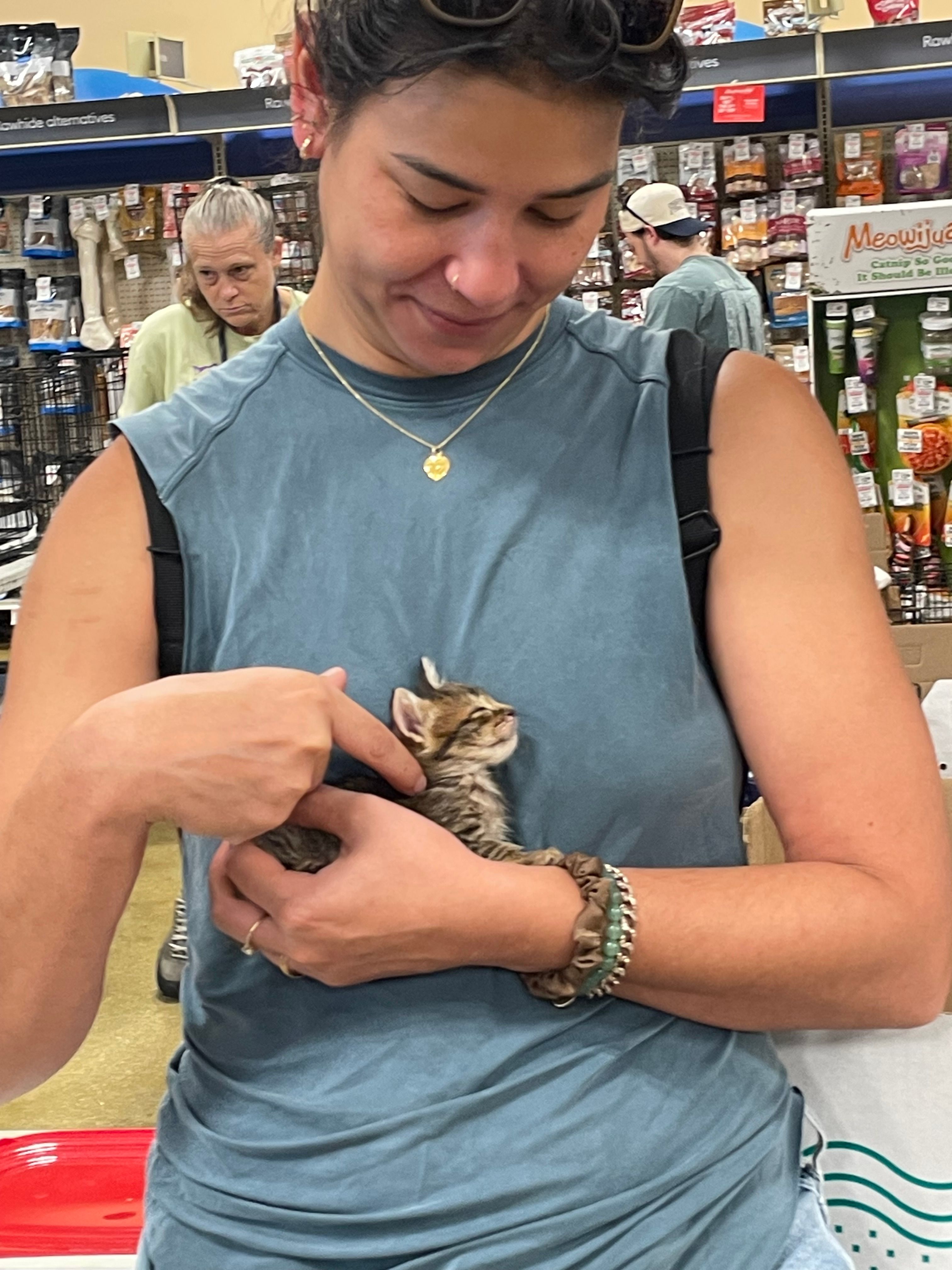 Kittens Rescue NW Inc