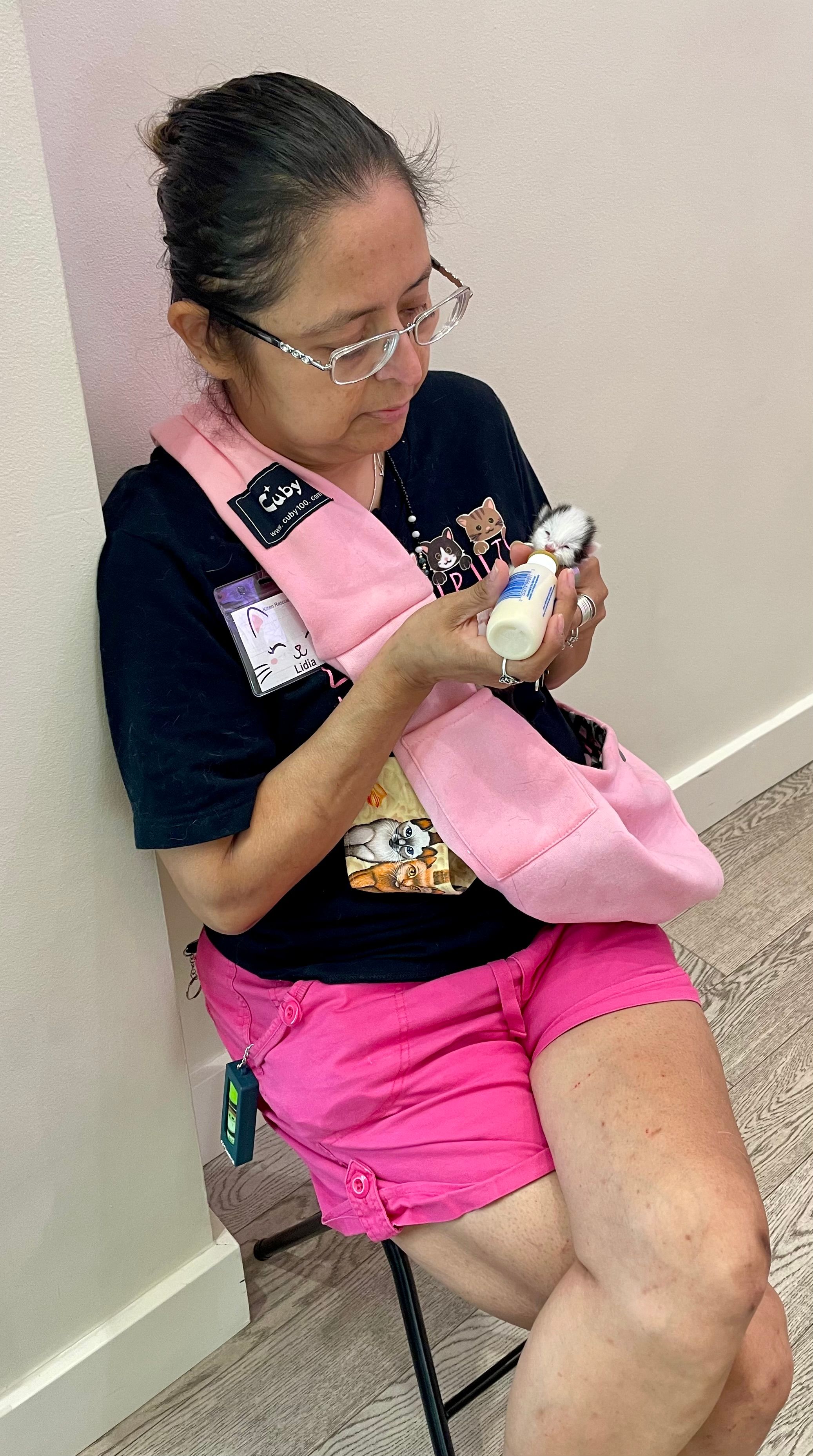 Kittens Rescue NW Inc