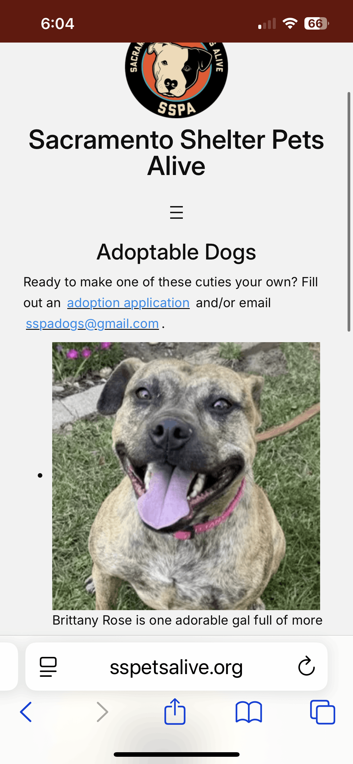 Sacramento Shelter Pets Alive