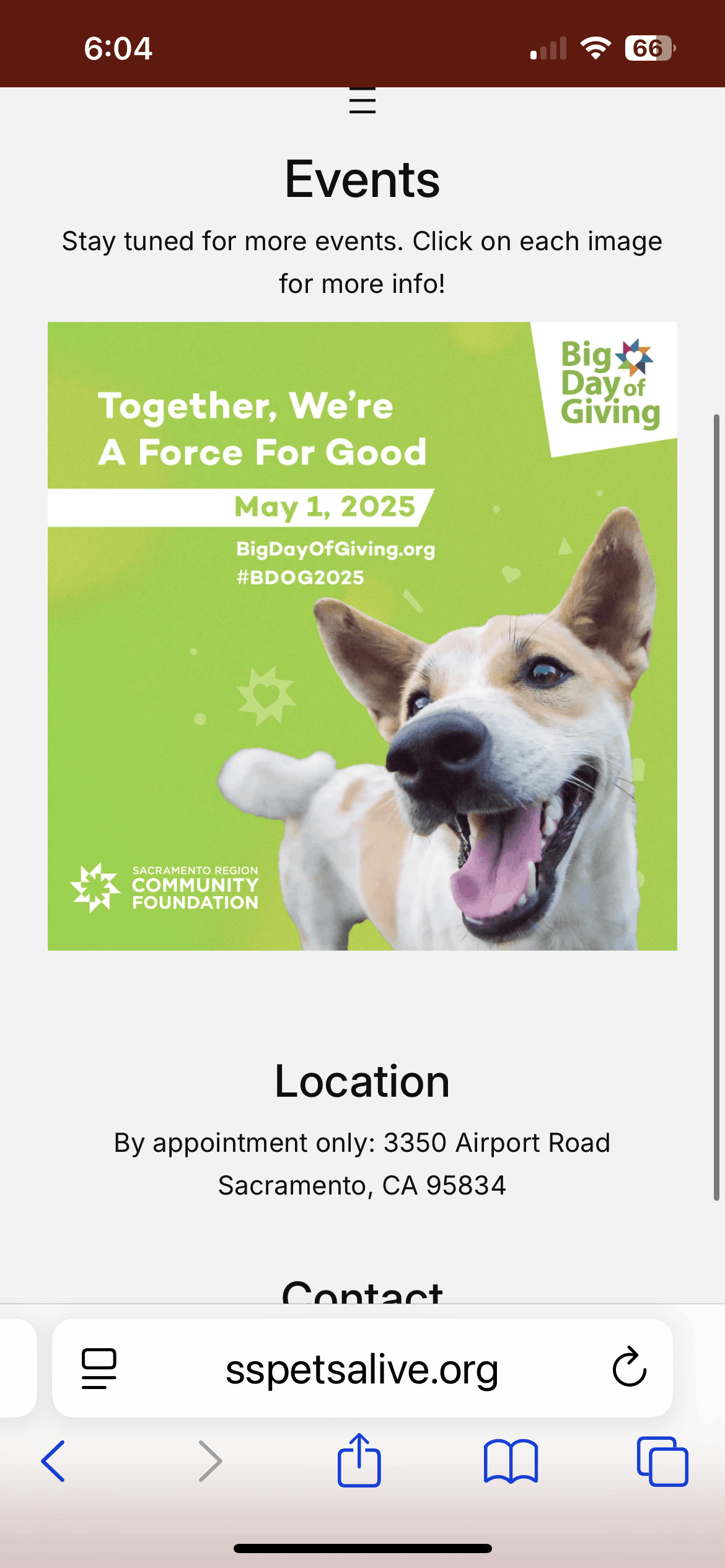 Sacramento Shelter Pets Alive