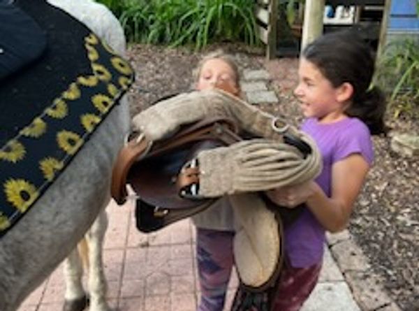 Lil Bit of Farm Life