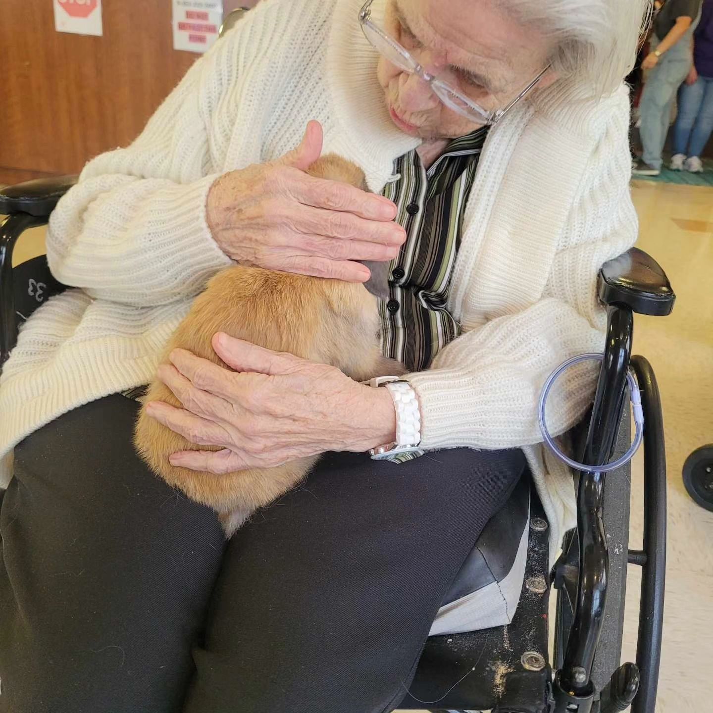 Lil Bit of Farm Life