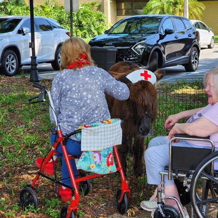 Lil Bit of Farm Life