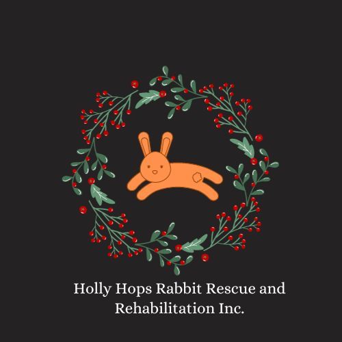 Holly Hops Rabbit Rescue and Rehabilitation, Inc.