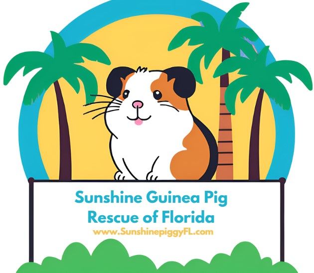 Sunshine Piggy Rescue of Florida