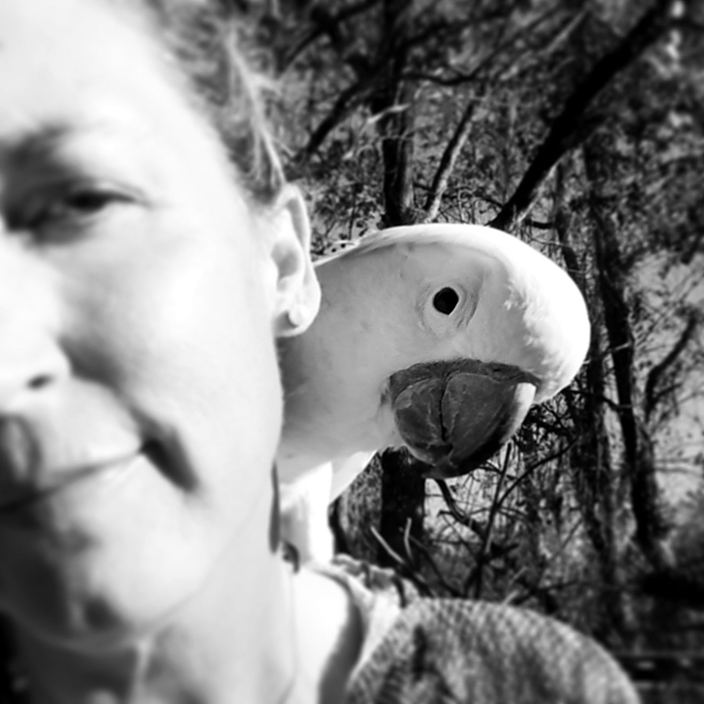 Baiata Bird Sanctuary