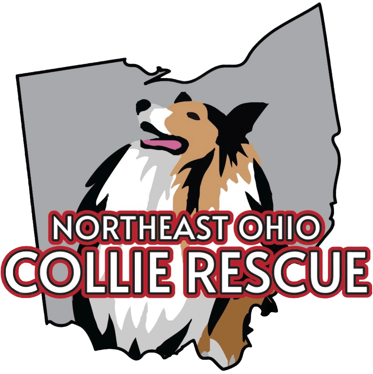 NorthEast Ohio Collie Rescue