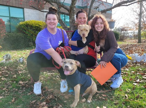 Friendship Animal protective league