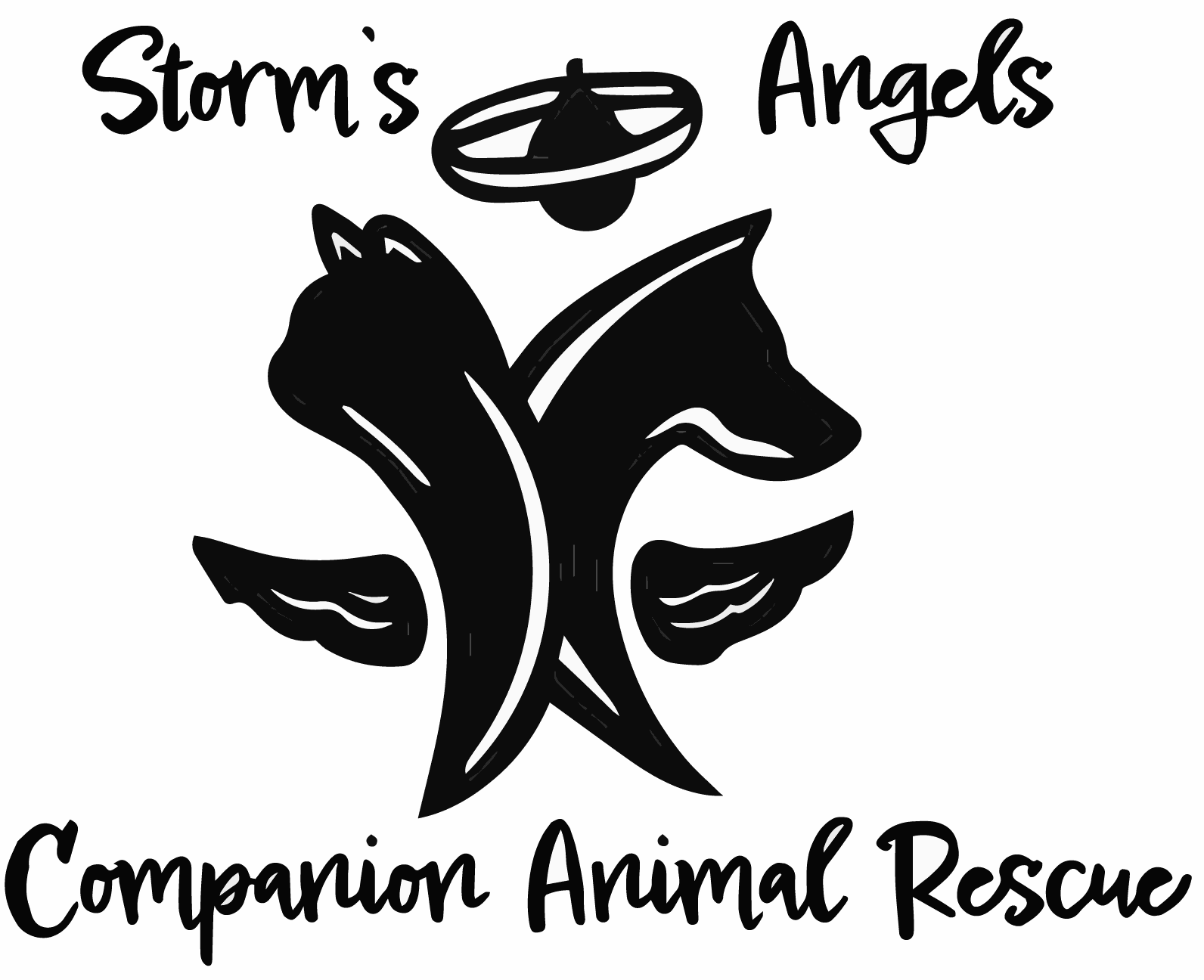 Storm's Angels