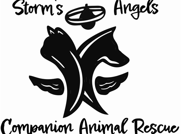 Storm's Angels