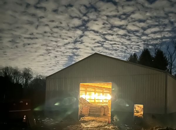8 Bays Learning Center & Sanctuary