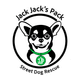 Jack Jack's Pack Street Dog Rescue