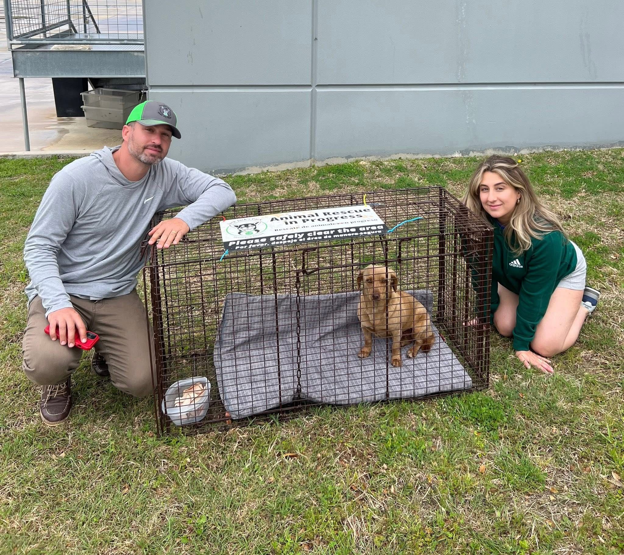 Jack Jack's Pack Street Dog Rescue