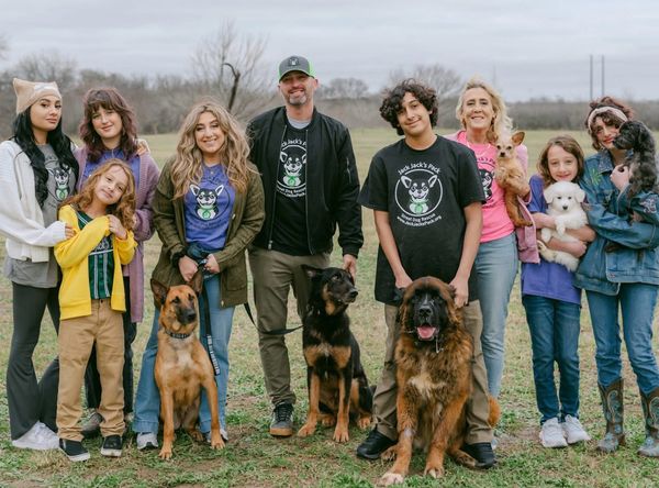 Jack Jack's Pack Street Dog Rescue