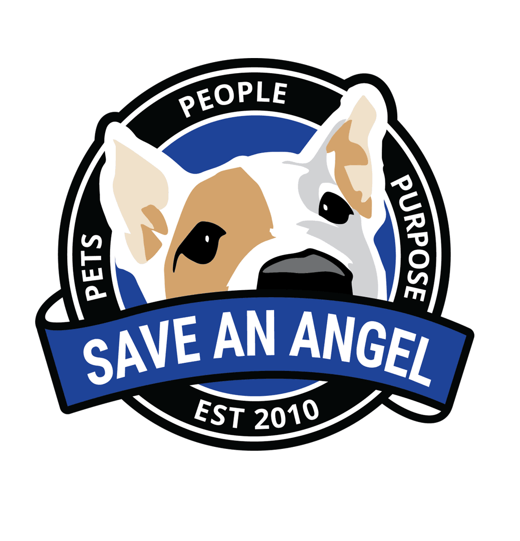 Save-An-Angel