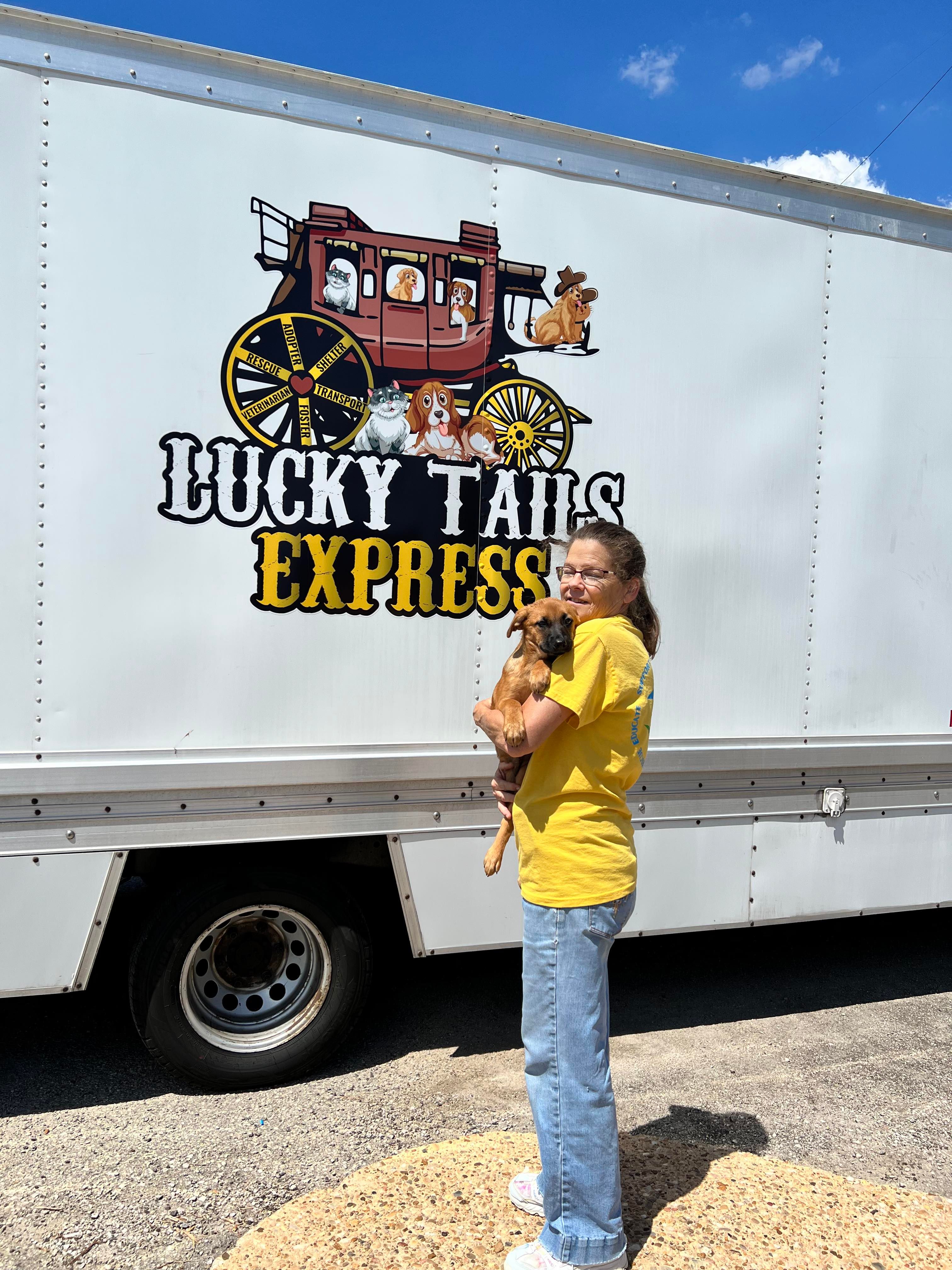 Shelter Pet Safety Net