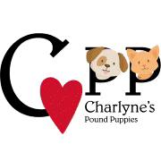 Charlyne's Pound Puppies