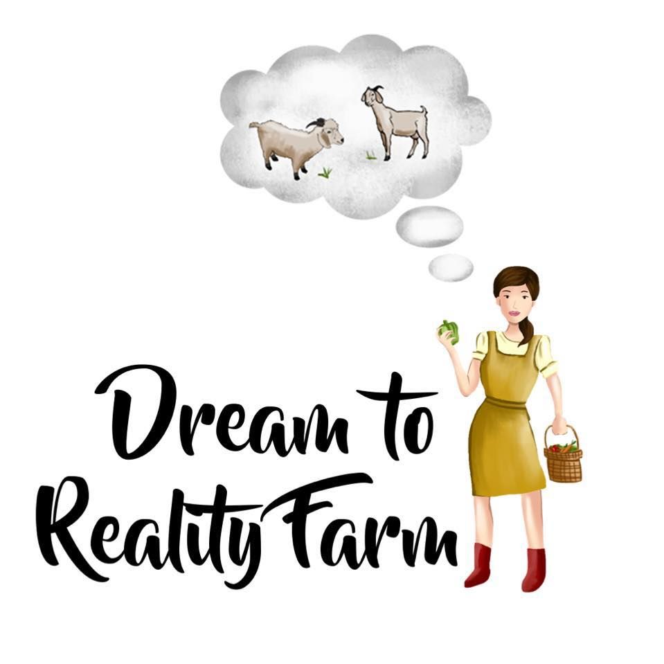 Dream to Reality Farm