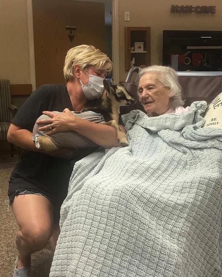 Dream to Reality Farm