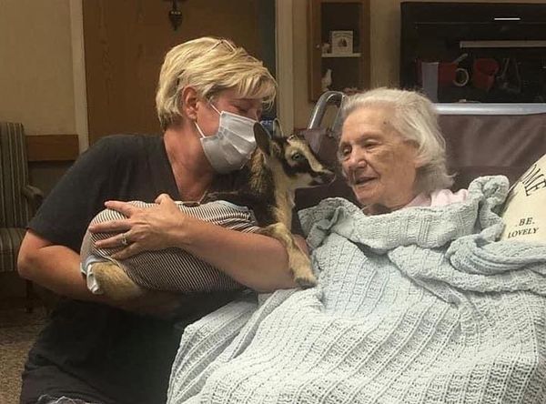 Dream to Reality Farm