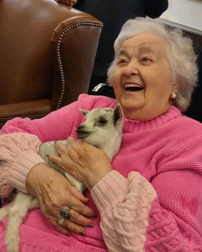 Dream to Reality Farm