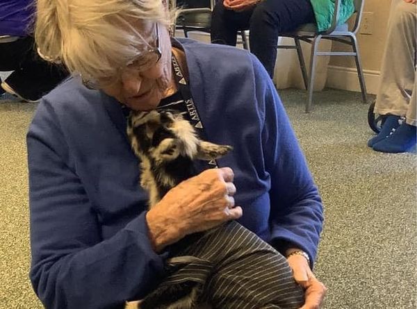 Dream to Reality Farm