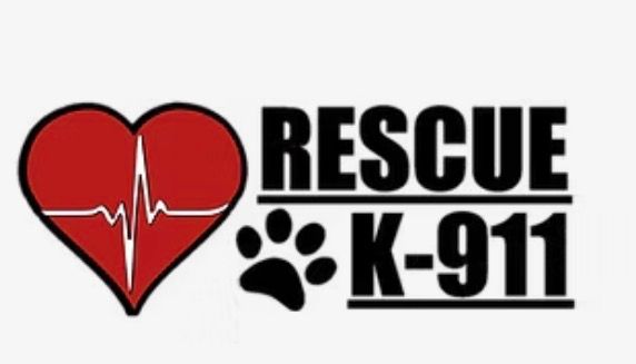 Rescue K-911