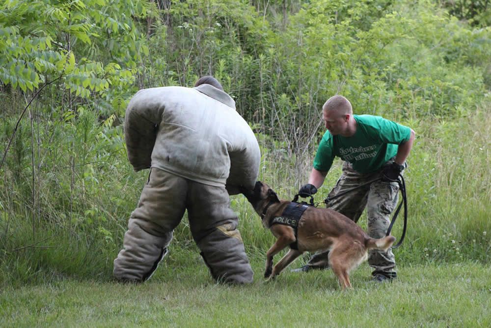 Central Indiana K9 Association Inc