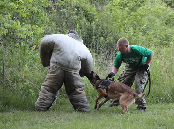 Central Indiana K9 Association Inc