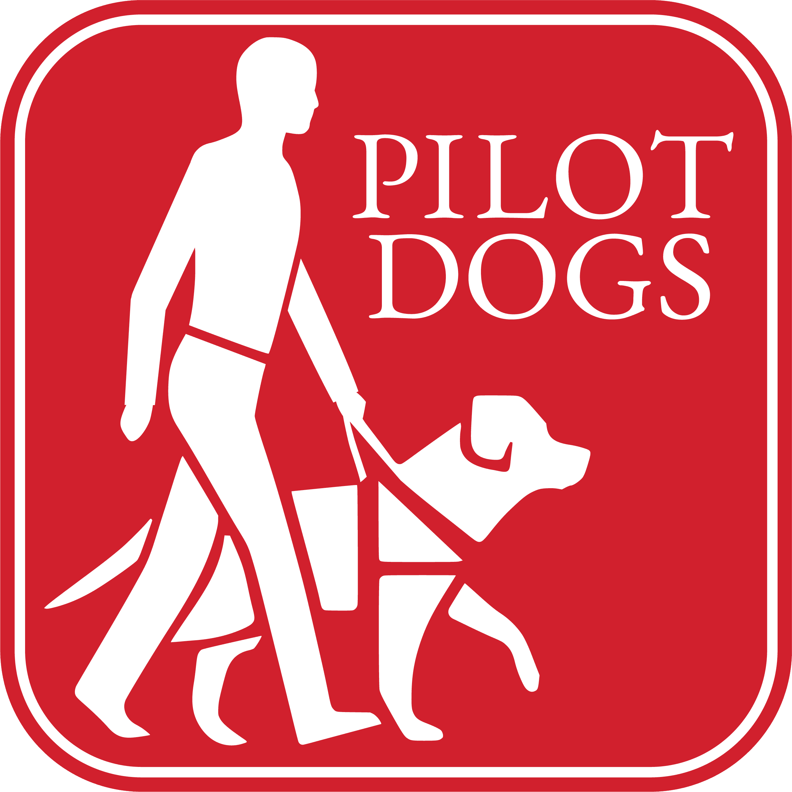 Pilot Dogs