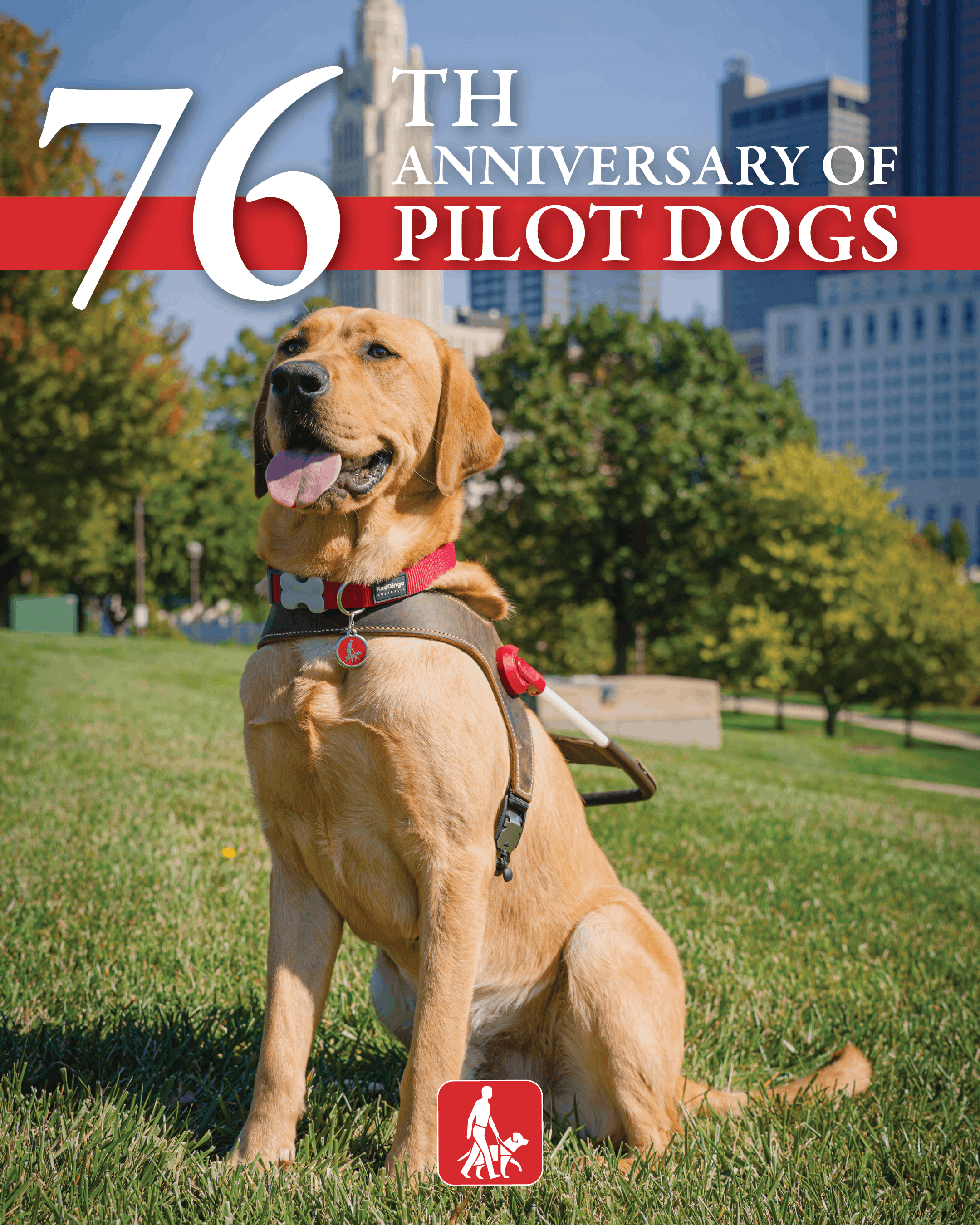 Pilot Dogs