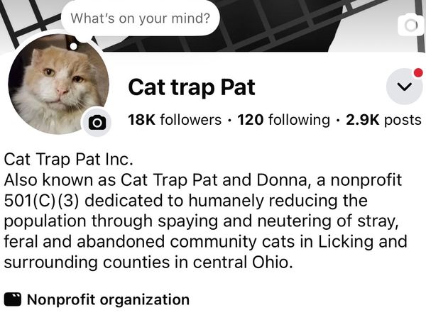 Cat Trap Pat, Inc.