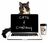 Cats & Company