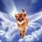 Kitty angels rescue