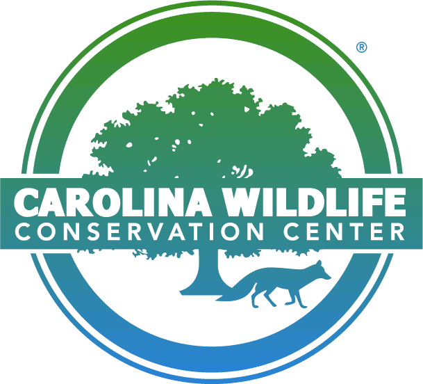 Carolina Wildlife Conservation Center