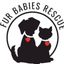 Fur Babies Rescue