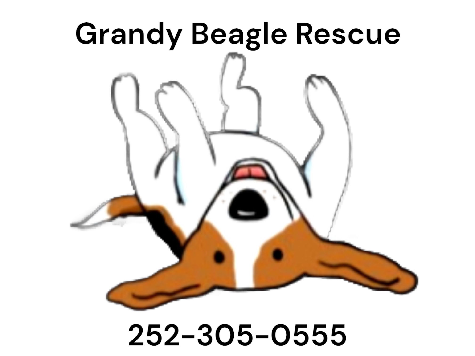 Grandy Beagle Rescue and Animal Sanctuary