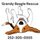 Grandy Beagle Rescue and Animal Sanctuary