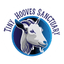 Tiny Hooves Rescue Inc