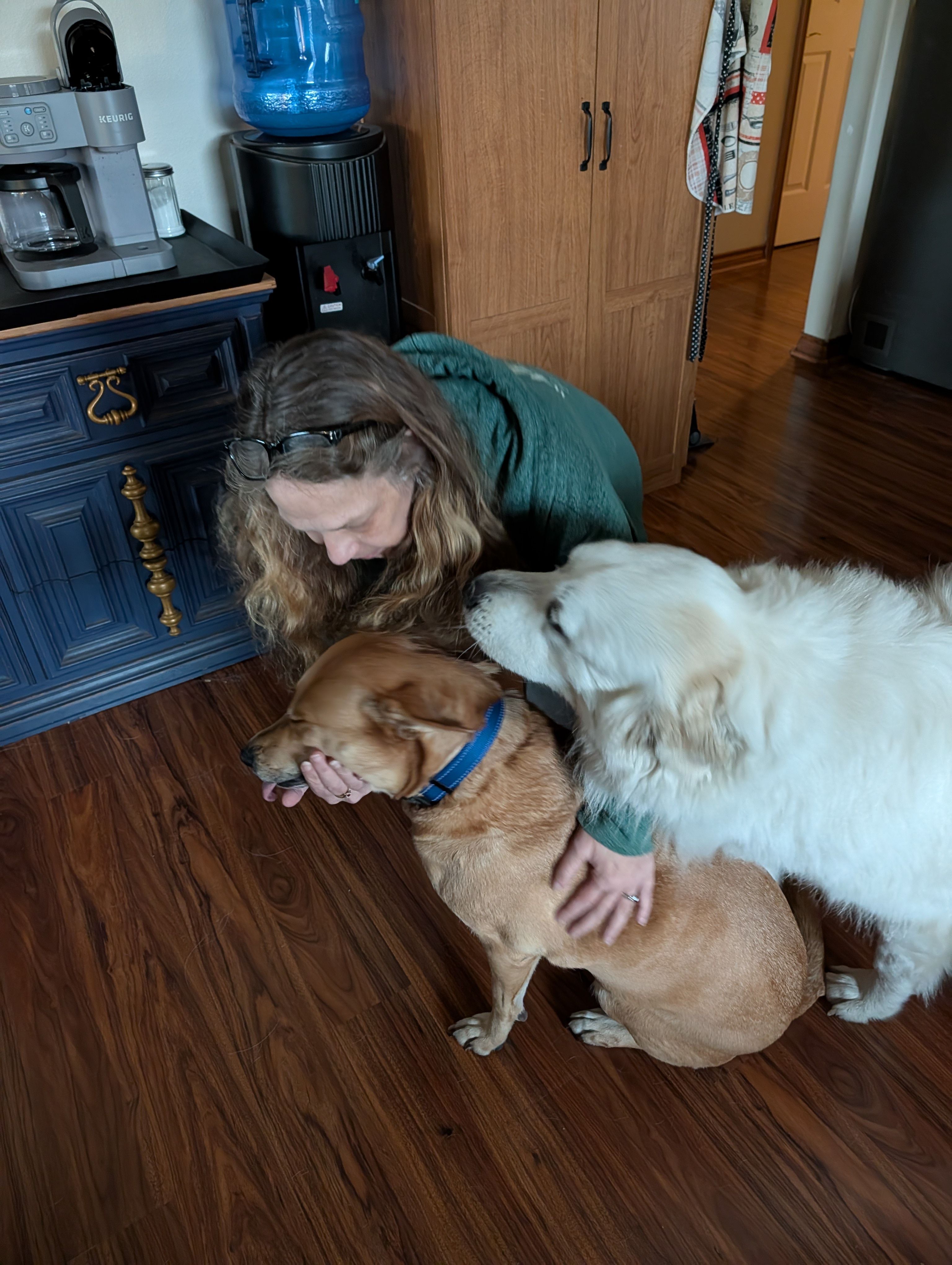 Chrissy's K-9 Kastle Corp.