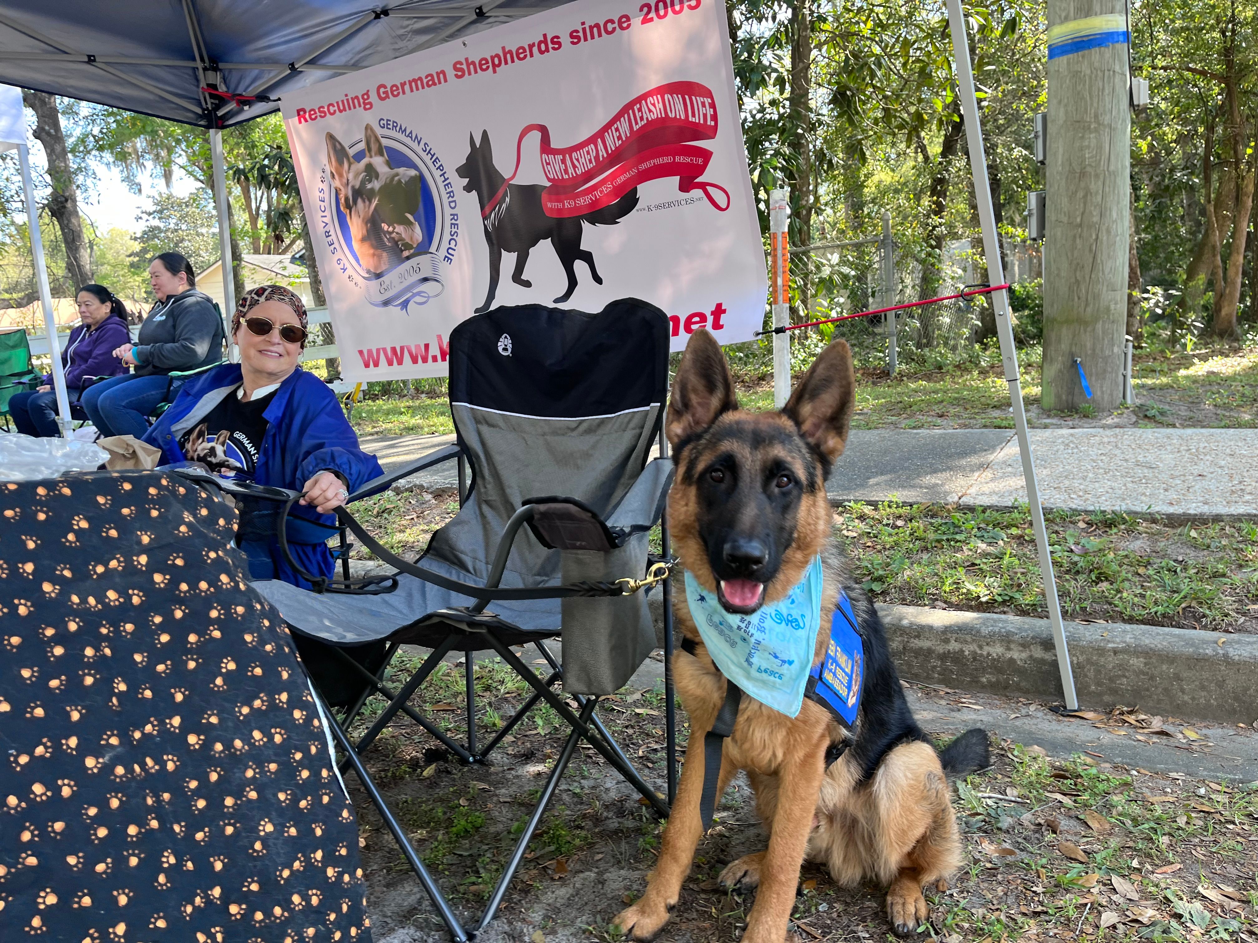 K9 Services German Shepherd Rescue Inc