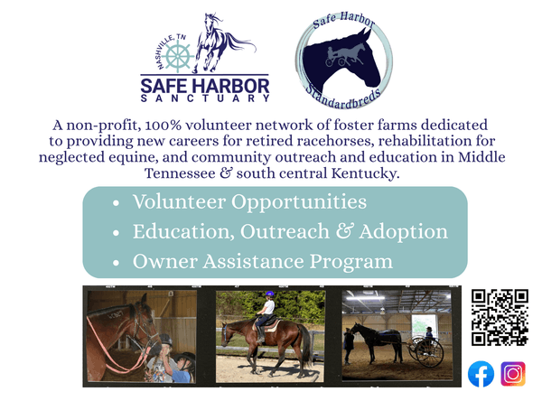 Safe Harbor Sanctuary