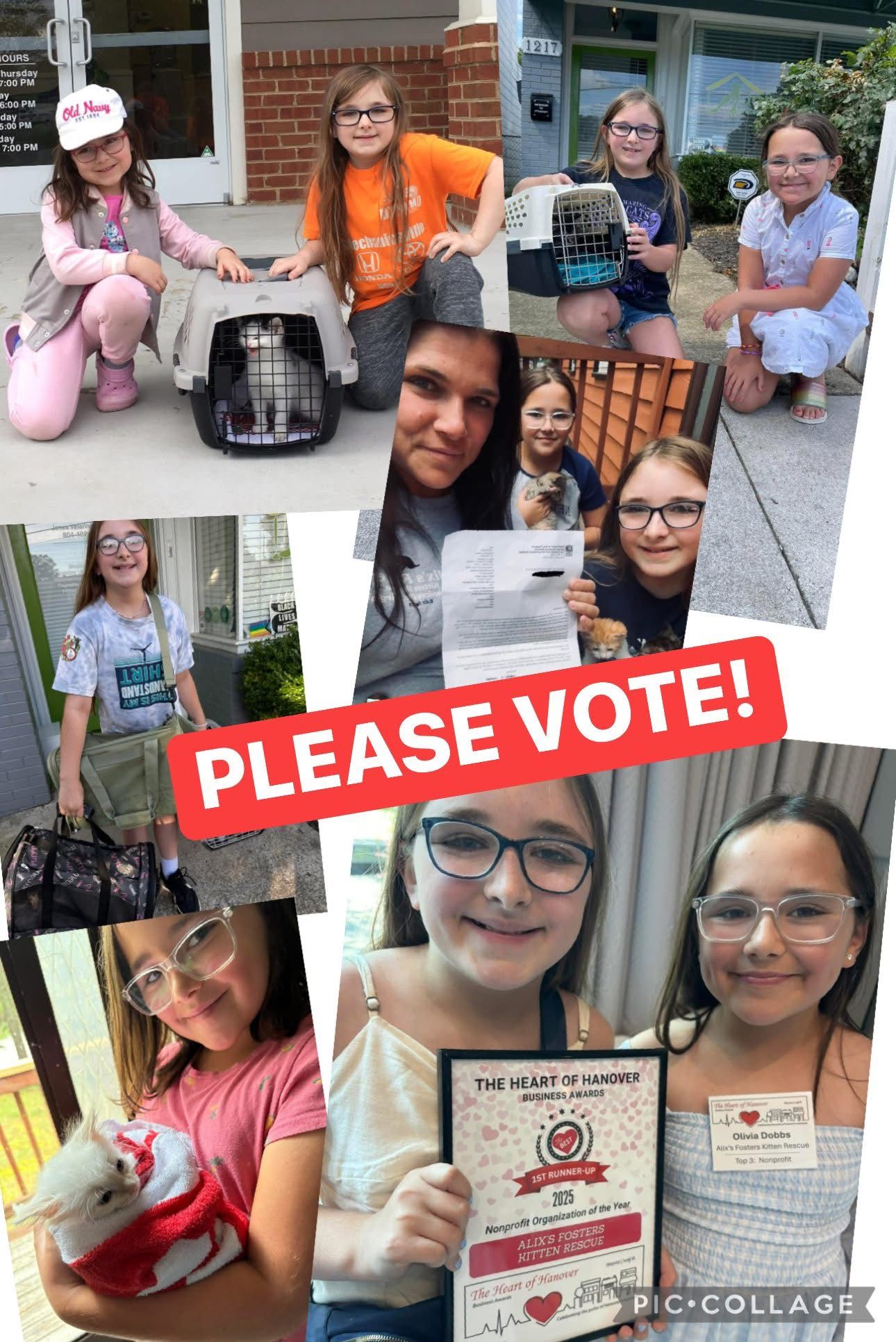 Alixs Fosters kitten rescue