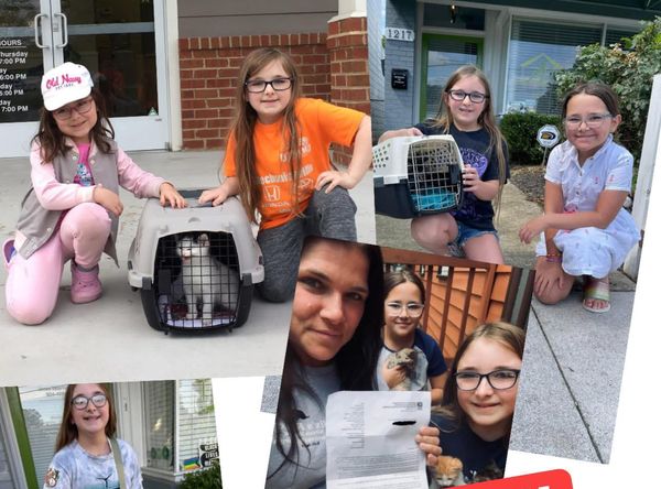 Alixs Fosters kitten rescue