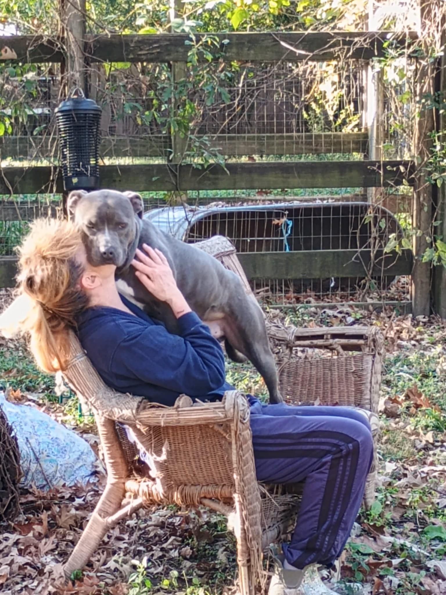 Memphis & Mid-South Animal Advocates