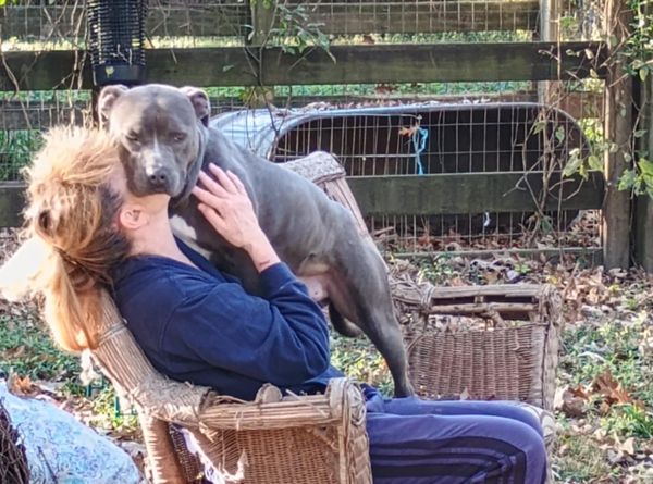 Memphis & Mid-South Animal Advocates
