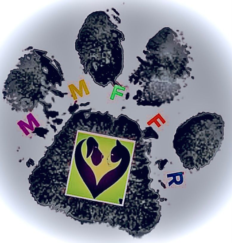 M&M's Fur-Ever Furbabies