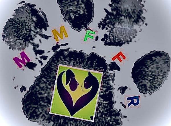 M&M's Fur-Ever Furbabies