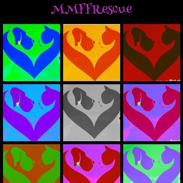 M&M's Fur-Ever Furbabies